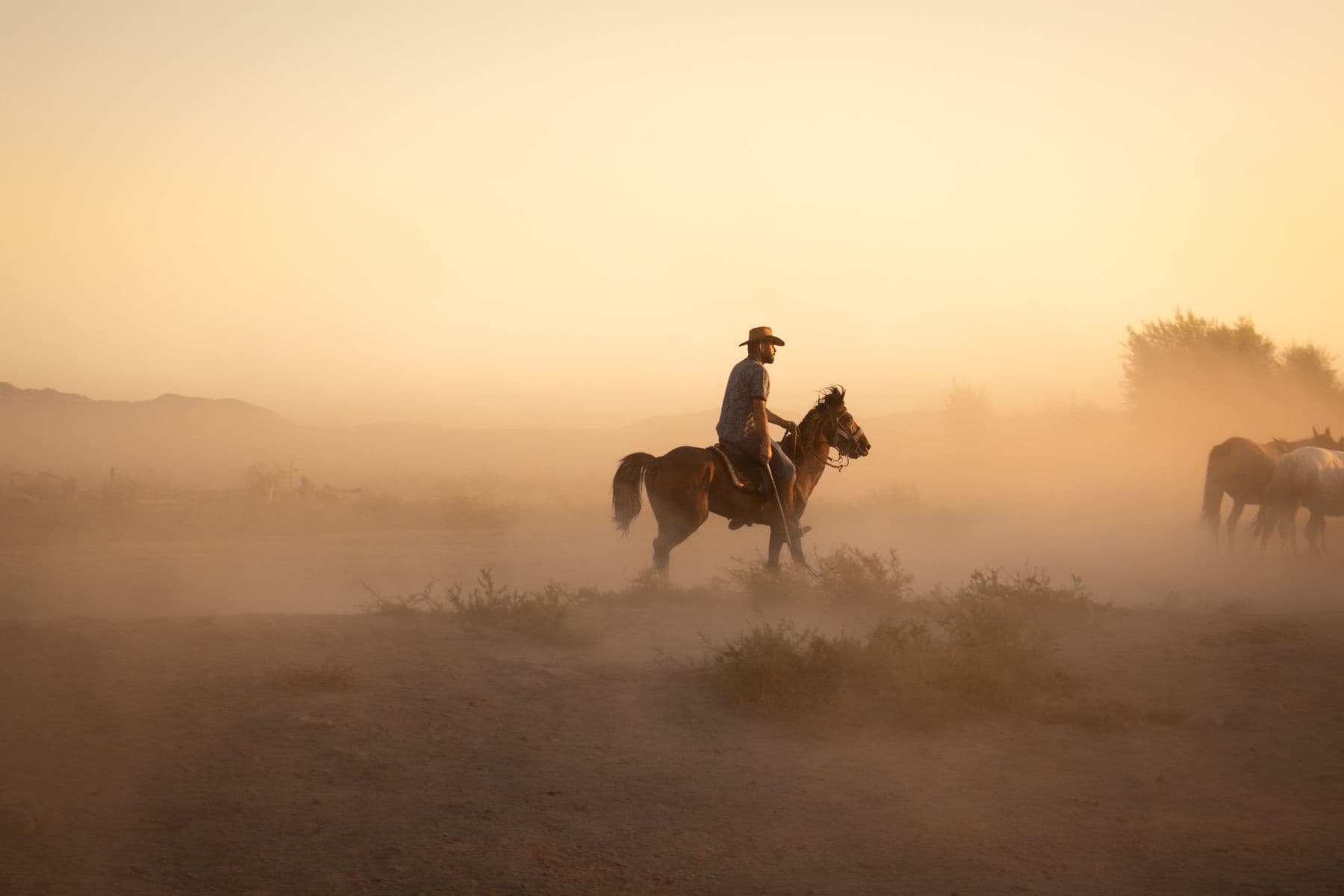 27th Annual Boot Barn Jerome Davis Invitational: rodeo athlete competing under arena lights.